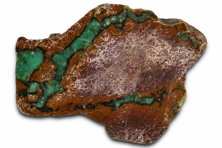 Polished Green Chrysoprase Section - Western Australia #364243